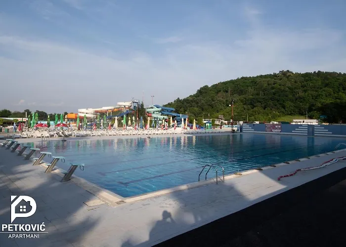 Petkovic 35 * Jagodina