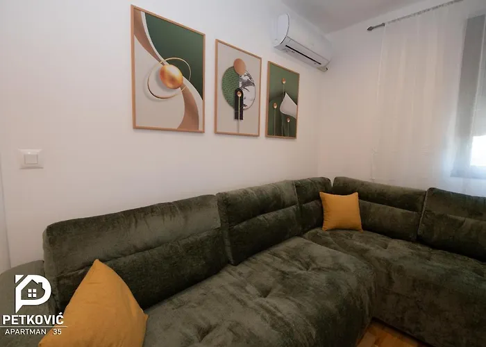 Διαμέρισμα Petkovic 35 *