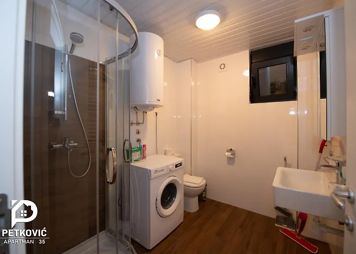 Διαμέρισμα Petkovic 35 *