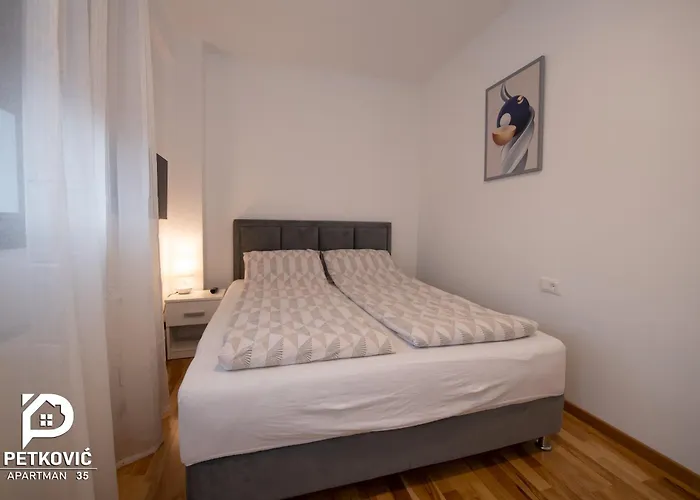 Petkovic 35 Jagodina
